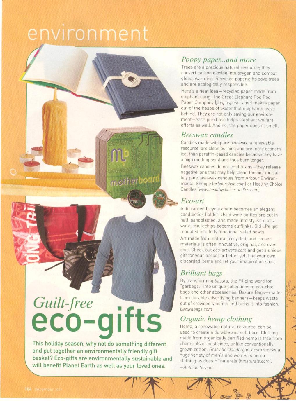 Eco article